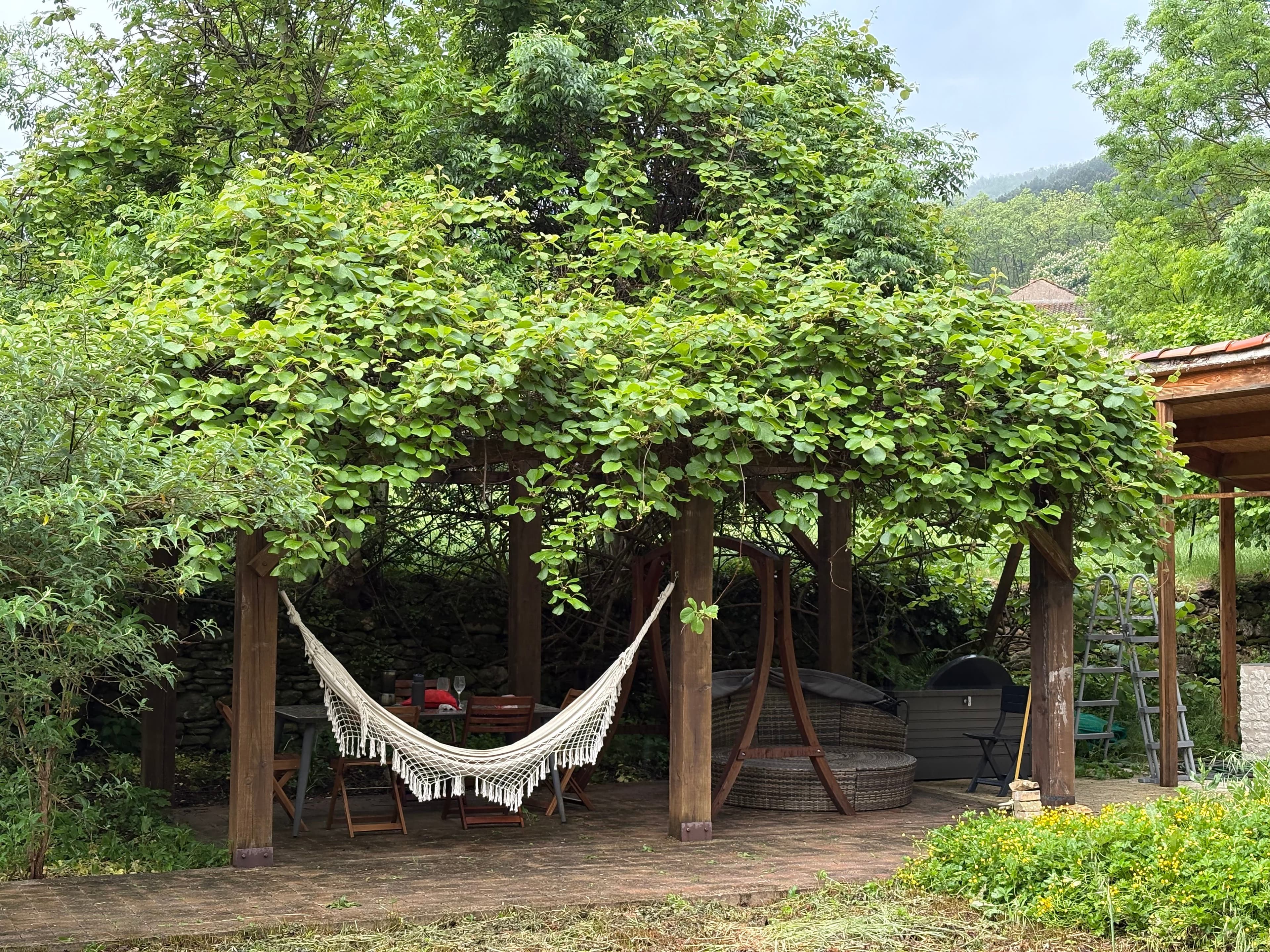 Outdoor kitchen with hammock and vine-covered pergola