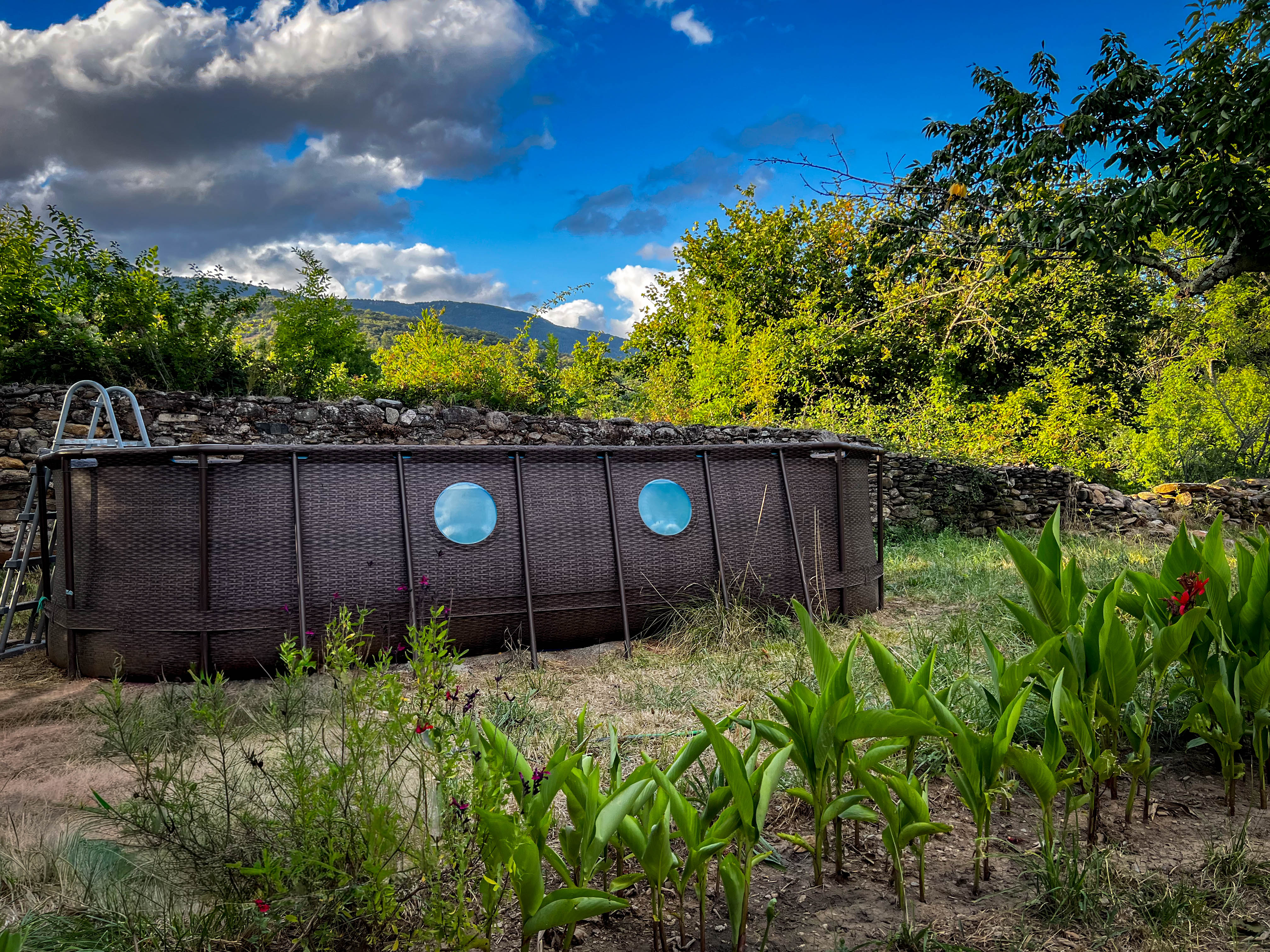 Swimming pool at Wild Tipi Garden